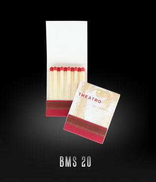 BMS20