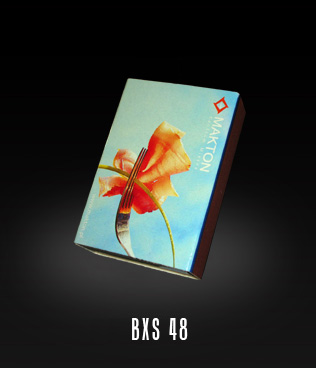 BXS48